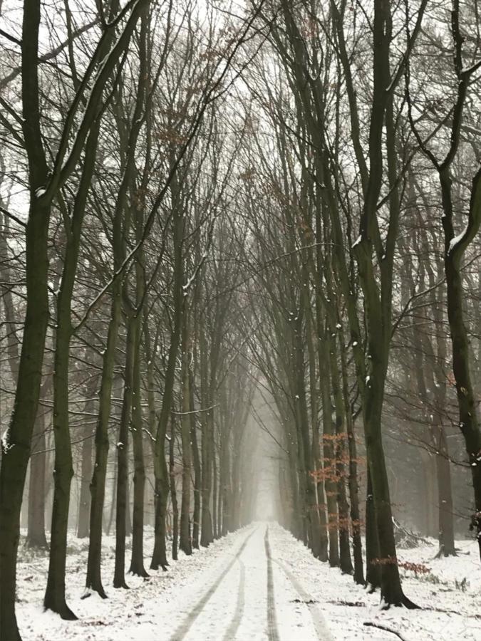 B&B 'Het Gripshuis' Vught Εξωτερικό φωτογραφία