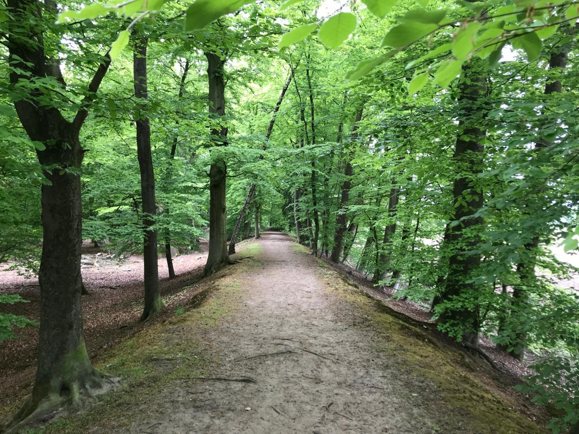 B&B 'Het Gripshuis' Vught Εξωτερικό φωτογραφία