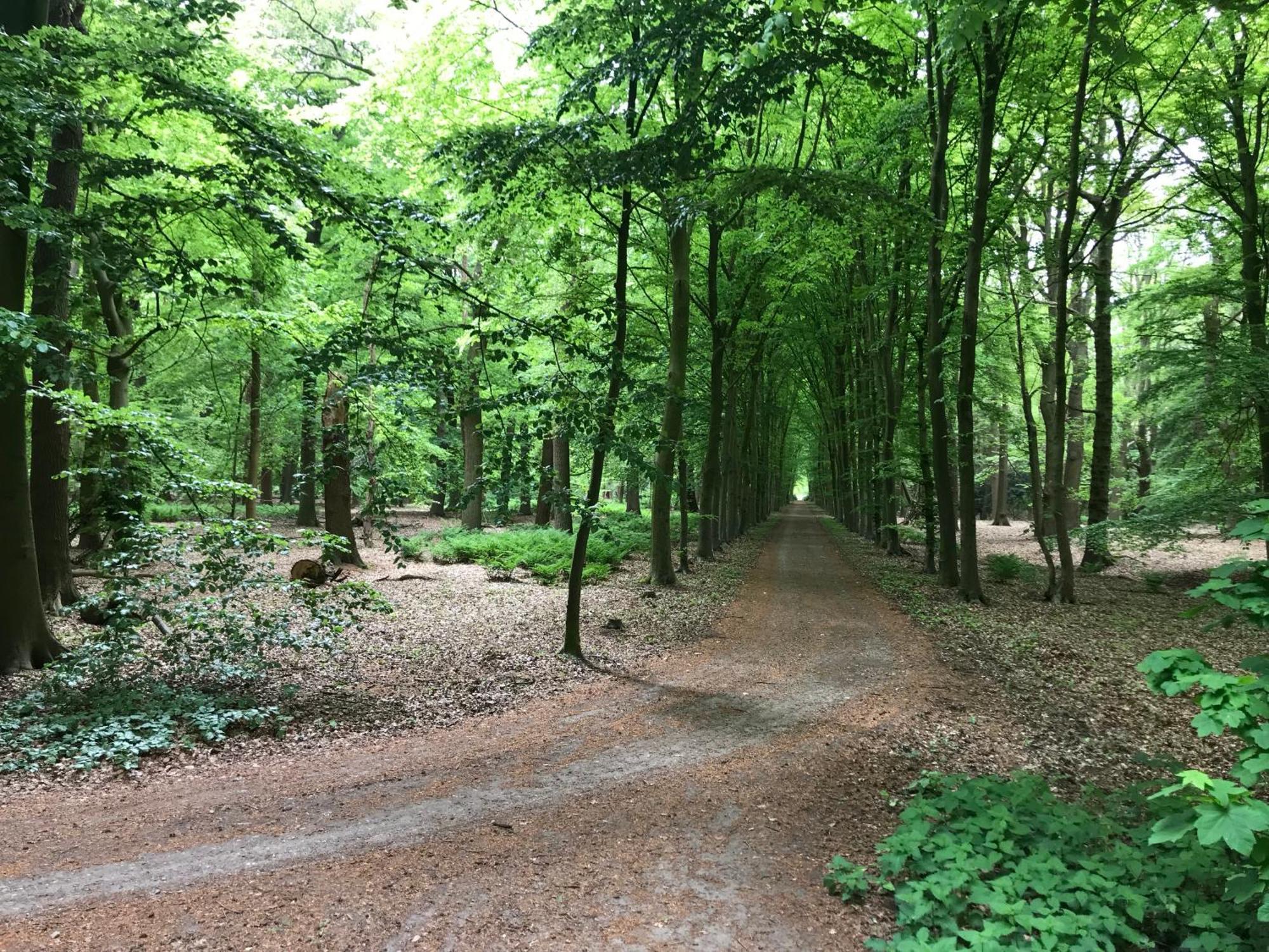 B&B 'Het Gripshuis' Vught Εξωτερικό φωτογραφία